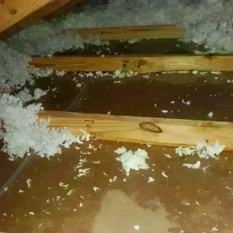 Attic Water Damage in Stearns County, MN